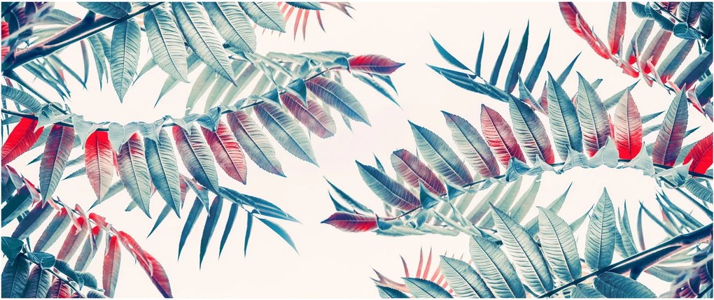Obraz - Tropické listy (120x50 cm)