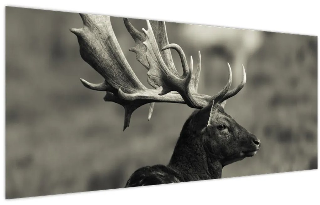 Obraz - Jeleň (120x50 cm)