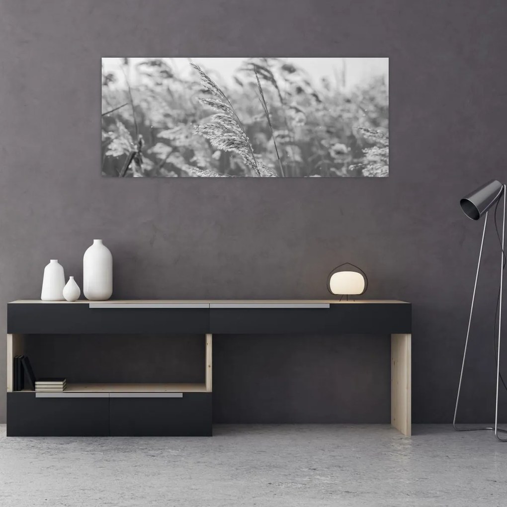 Obraz - Tráva vo vetre (120x50 cm)