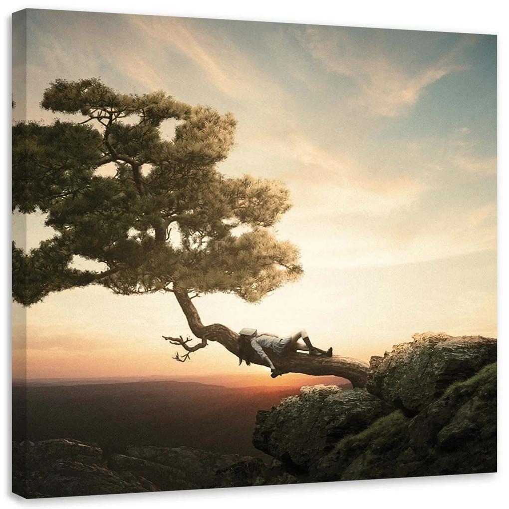 Gario Obraz na plátne Odpočíva nad priepasťou - Zehem Chong Rozmery: 30 x 30 cm