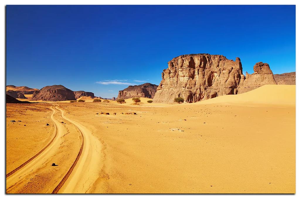 Obraz na plátne - Cesta v púšti 1129A (60x40 cm)