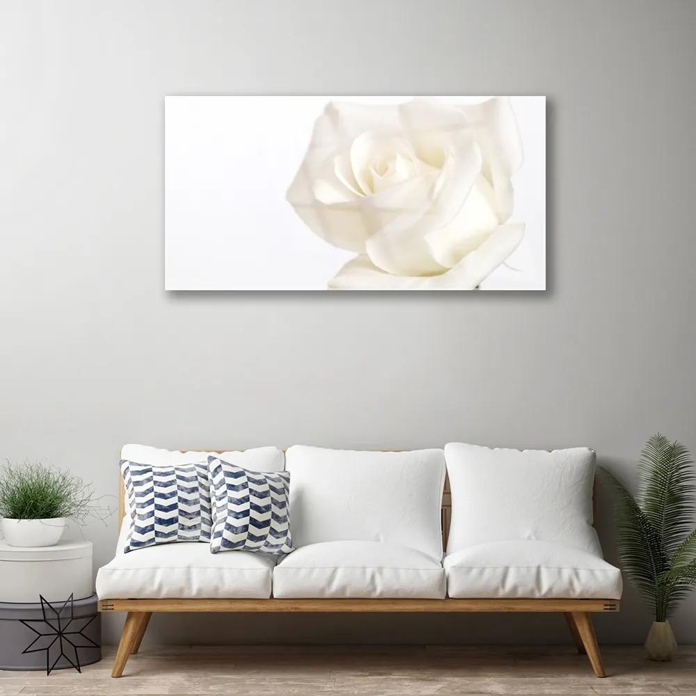 Skleneny obraz Ruže kvety 120x60 cm