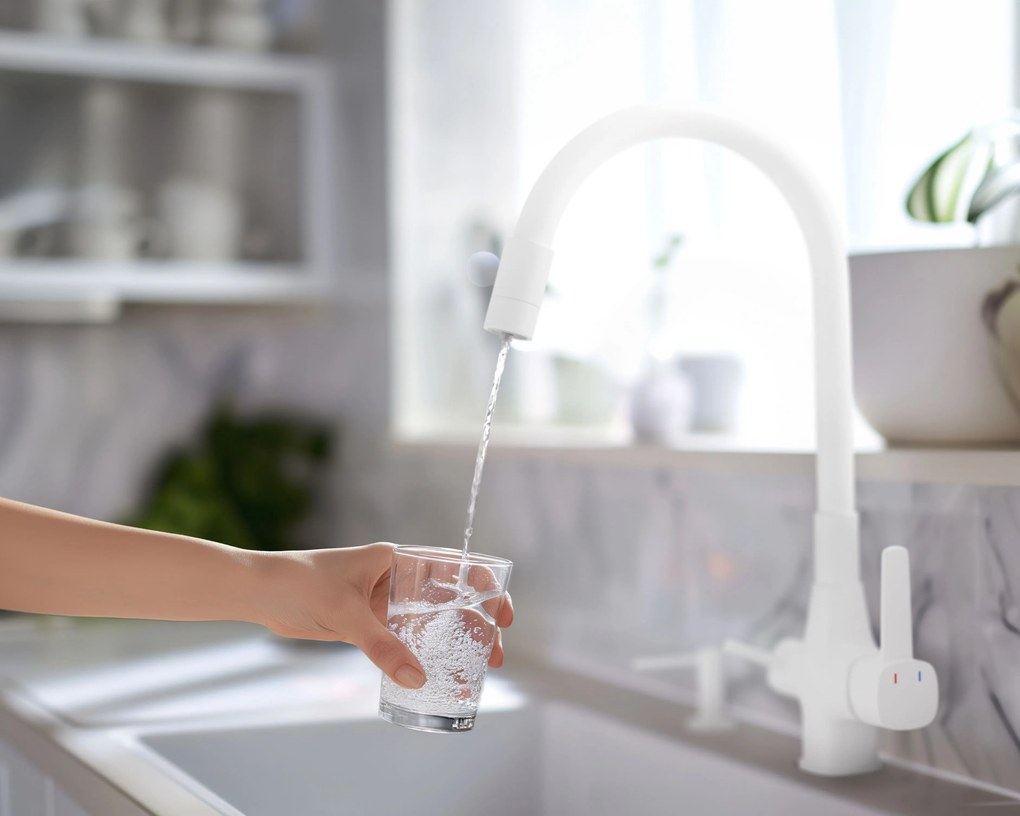 Invena Magic, stojanková drezová batéria s flexibilným ramenom a filtrom na pitnú vodu, biela matná, INV-BZ-02-F02-V
