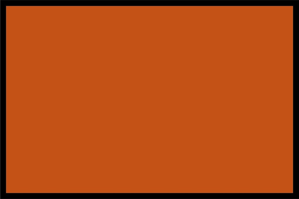 Navrhnuteľná rohožka Flat Prémium (Vyberte veľkosť: 100*70, Vyberte farbu: 035 Oranžová)