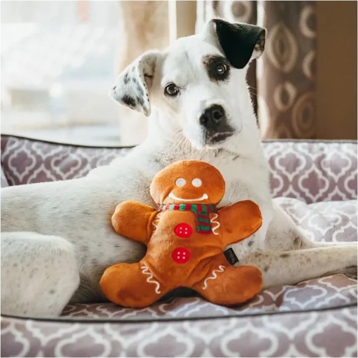Hračka pre psa Gingerbread Man – P.L.A.Y.