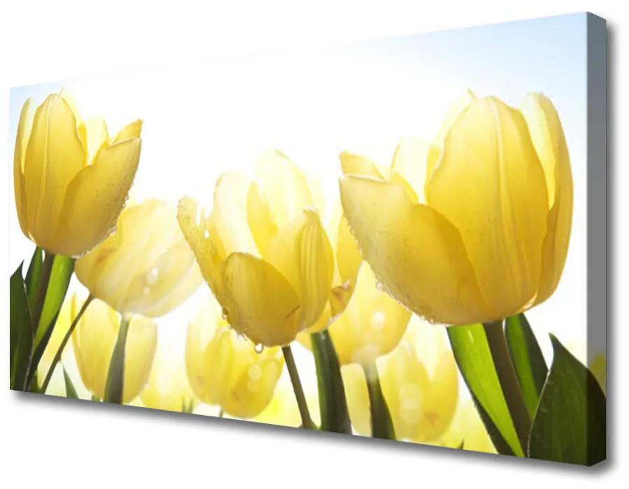 Obraz Canvas Tulipány kvety lúče 120x60 cm