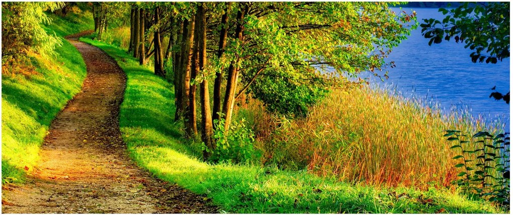 Obraz chodníky pozdĺž vody (120x50 cm)
