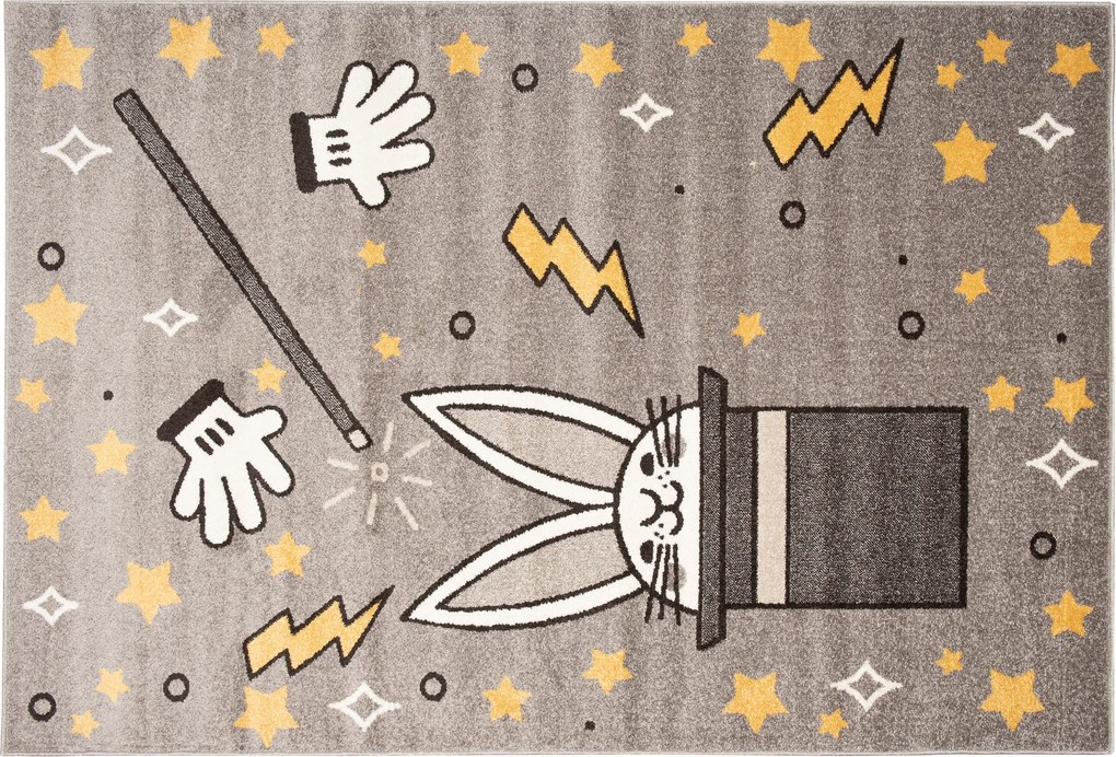 TA Koberec 36313/37224 FIESTA Rozmer: 80x150 cm