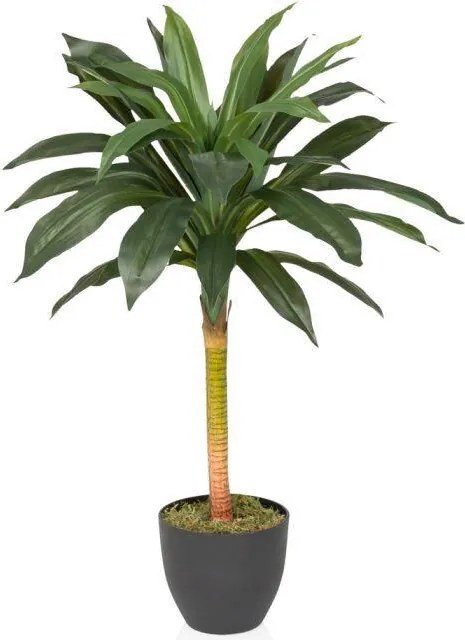 XXXLutz UMELÁ RASTLINA dracena MID.YOU - Kvety & kvetináče - 001918078201