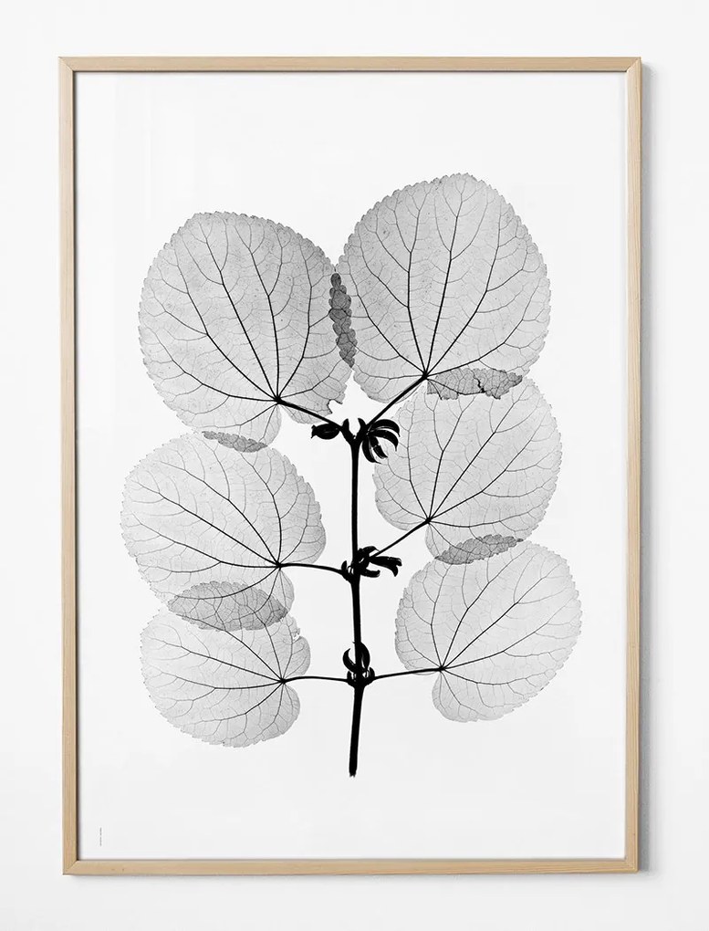 Fine Little Day Autorský plagát Katsura 70x100 cm