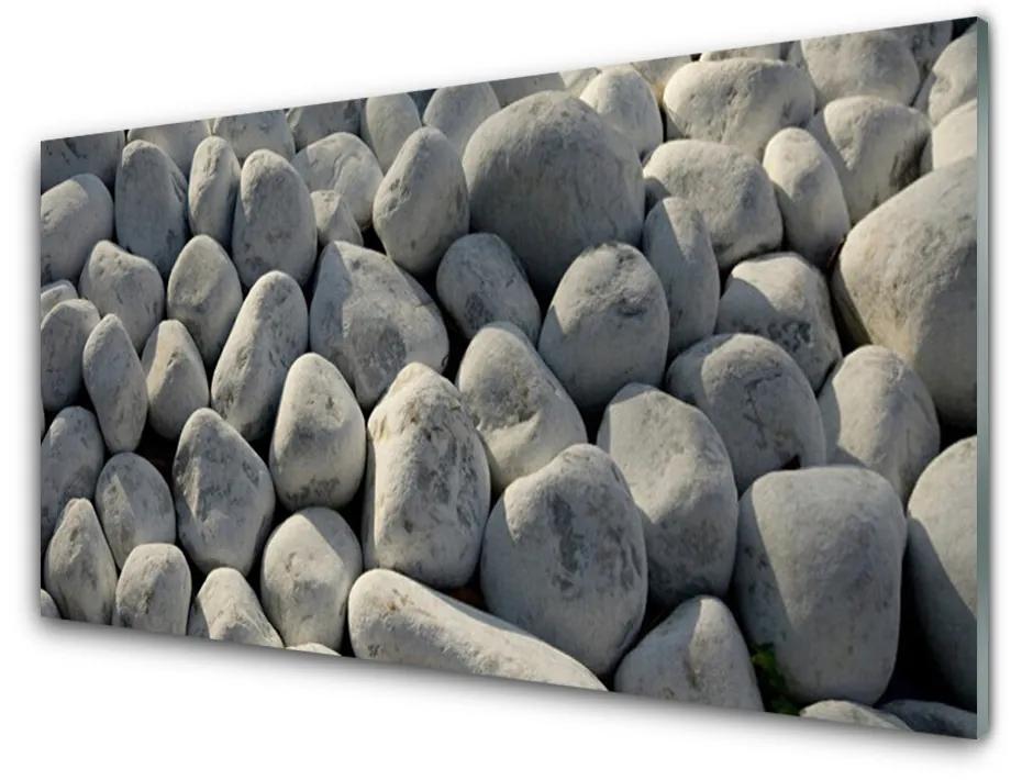 Obraz plexi Kamene umenie 100x50 cm