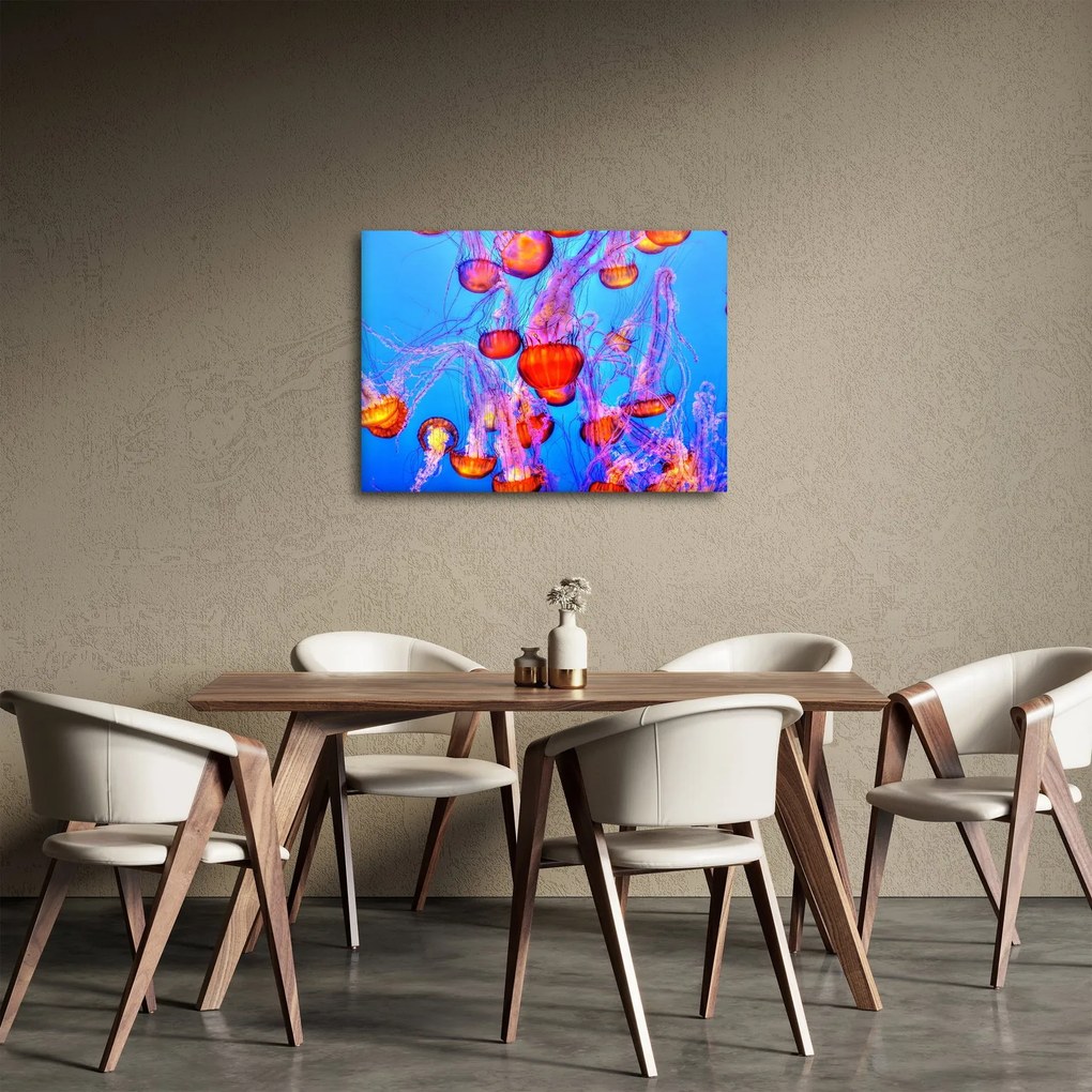 Obraz medúz v mori (70x50 cm)