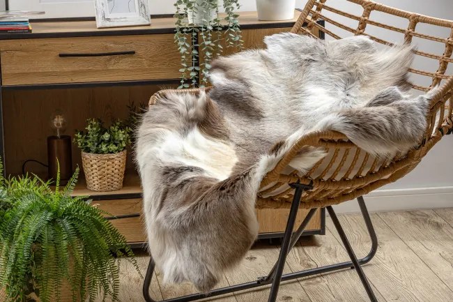 Koberec RENIFER POK019 hnedý