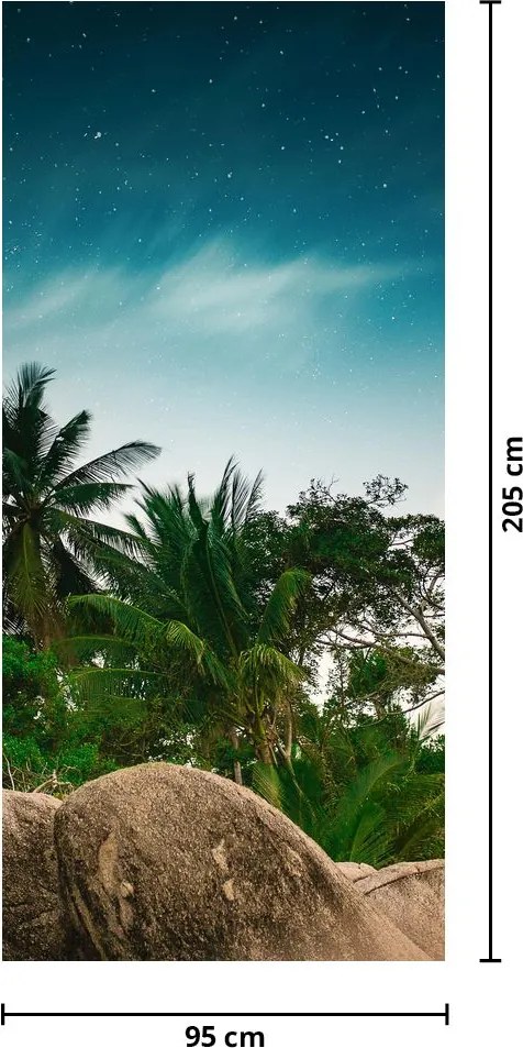 Fototapeta na dvere - Palmy (95x205cm)