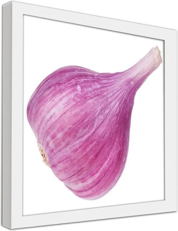 CARO Obraz v ráme - Pink Garlic Biela 20x20 cm