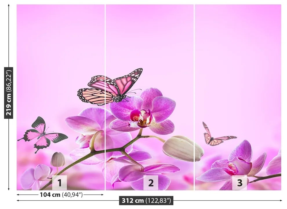 Fototapeta Vliesová Orchid motýľ 208x146 cm