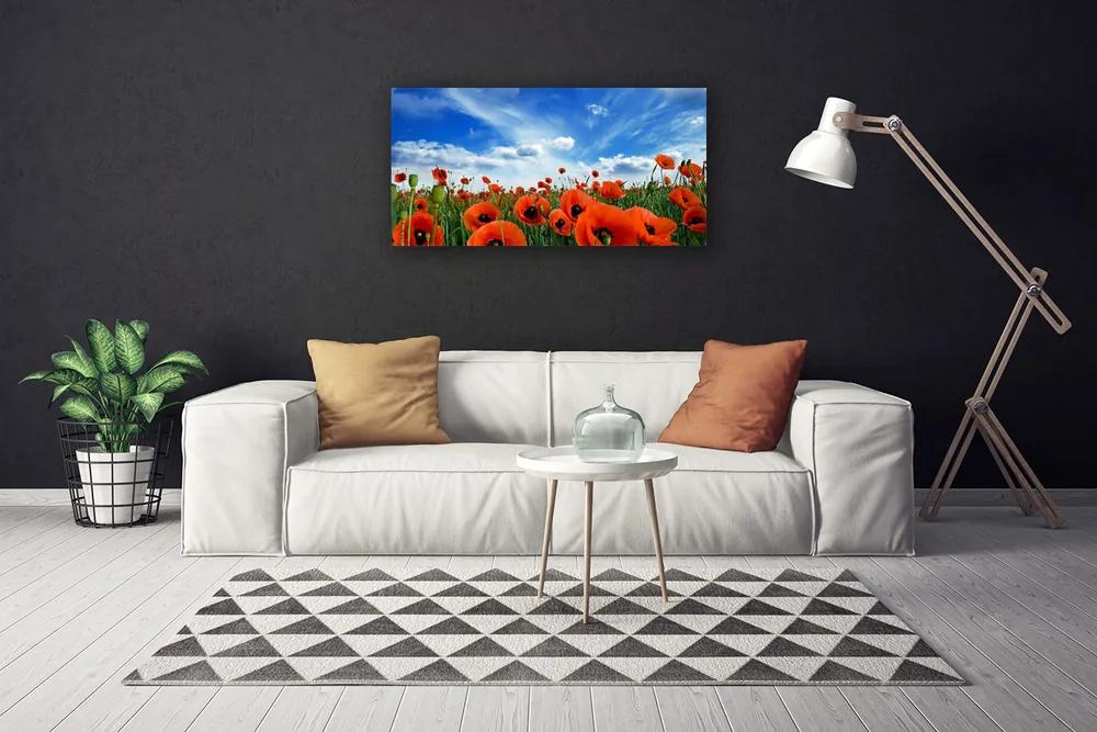 Obraz Canvas Lúka maky kvety 100x50 cm