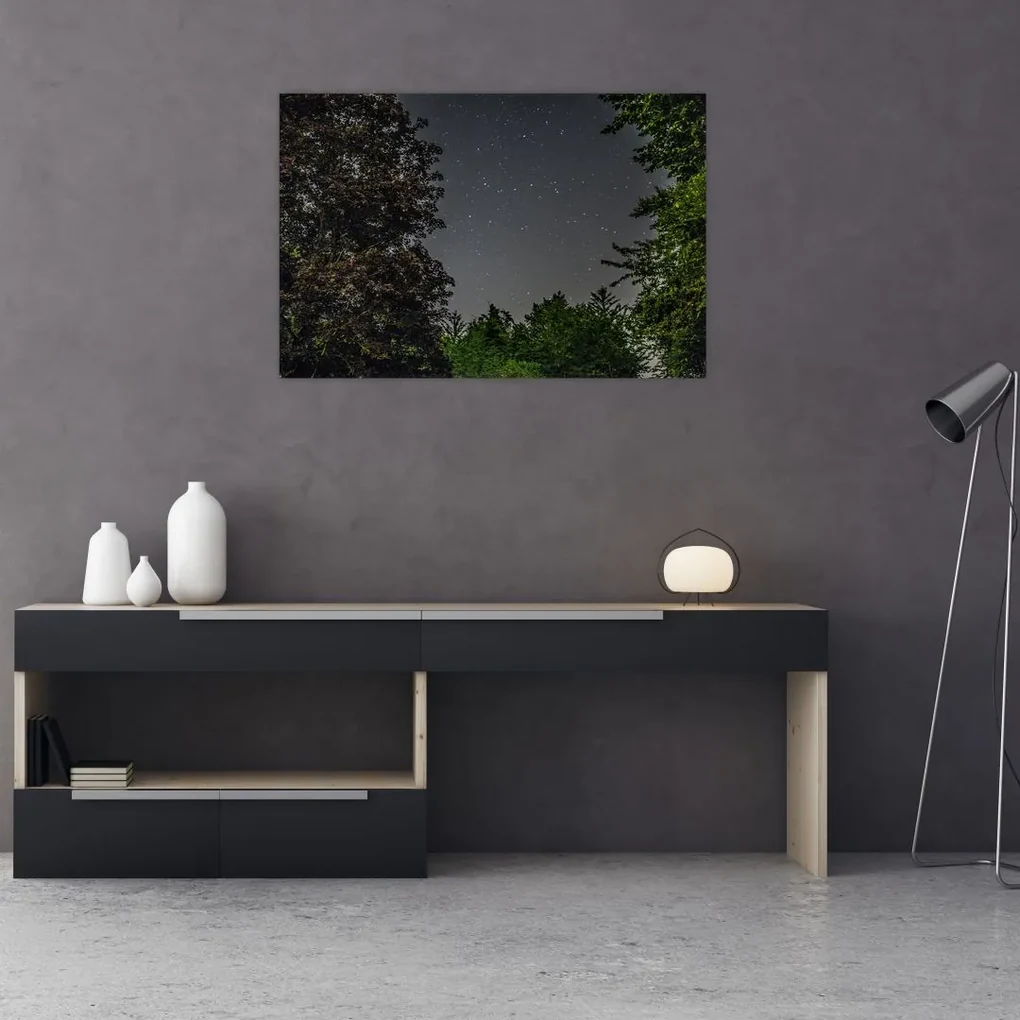 Obraz nočnej oblohy (90x60 cm)