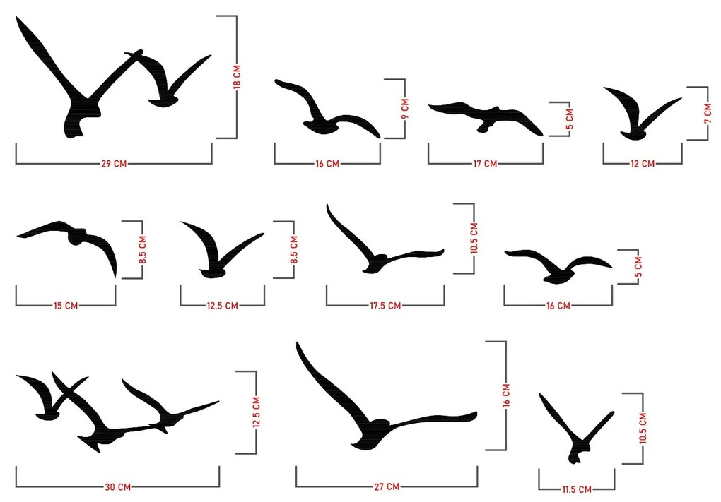 Migration