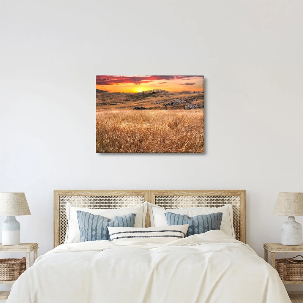 Obraz pole (70x50 cm)
