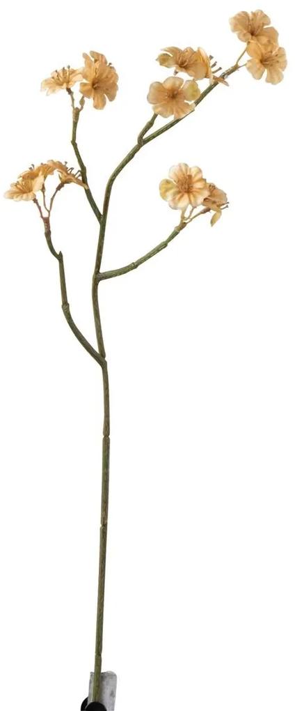 Vetvička s béžovými kvetmi Tweedie - 7 * 10 * 51 cm