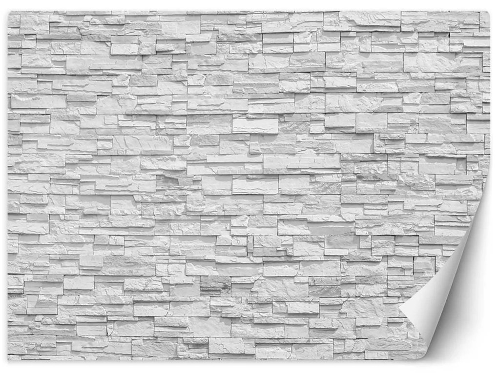 Gario Fototapeta Biela kamenná stena Materiál: Vliesová, Rozmery: 250 x 175 cm