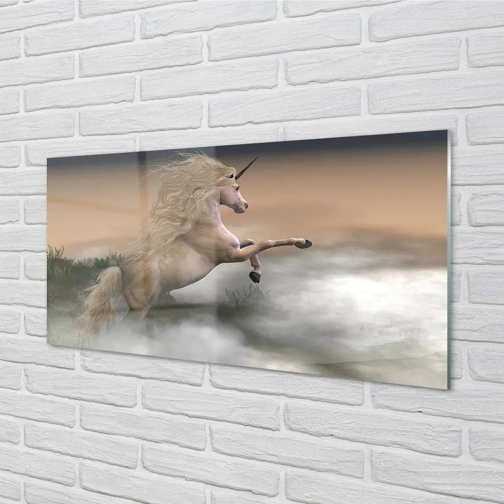 Sklenený obraz Unicorn mraky 125x50 cm