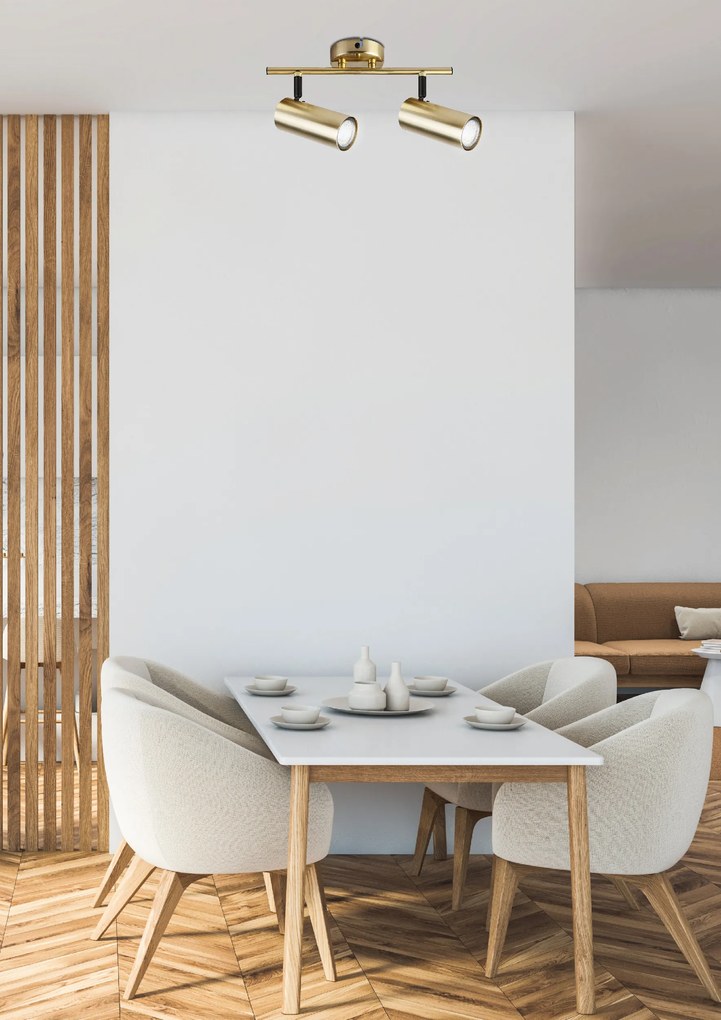 Candellux Mosadzné stropné svietidlo Colly pre žiarovku 2x GU10 92-01719
