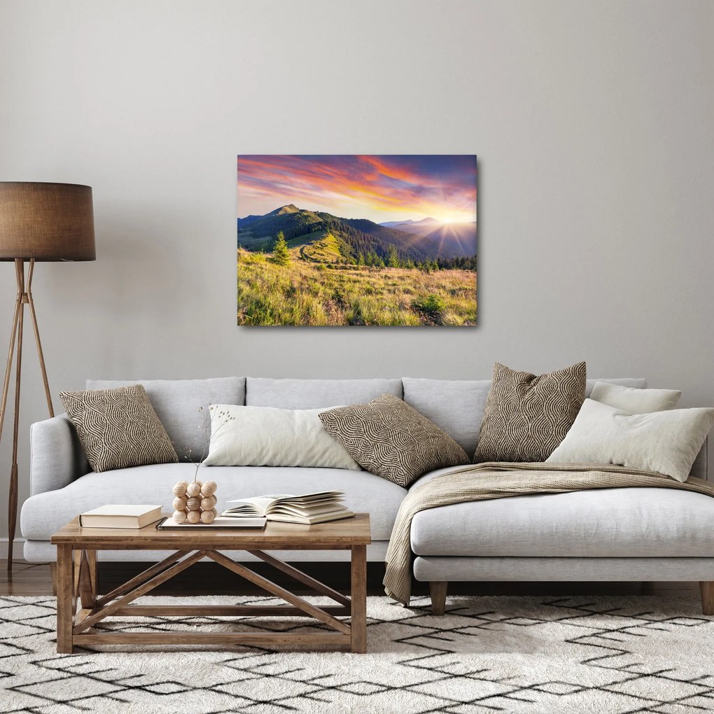Obraz - Lesná krajina (70x50 cm)