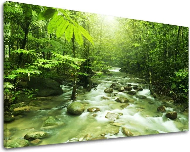 Obraz na stenu STROMY ST034E11