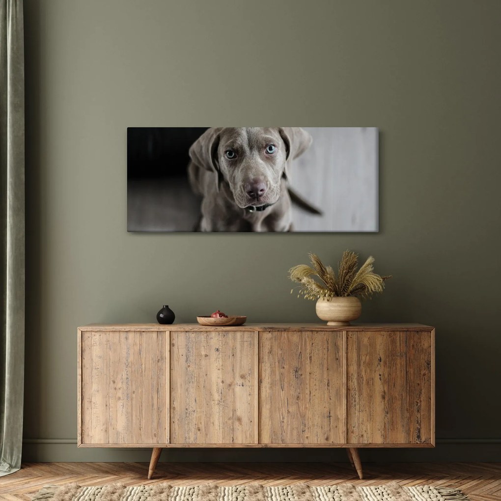 Obraz šteňaťa (120x50 cm)