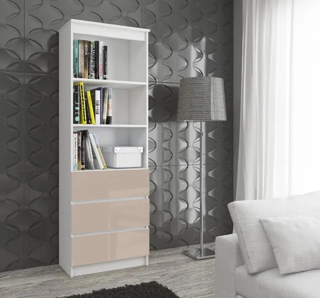 Regál R60 3SZ 2P CLP biely / cappuccino lesk