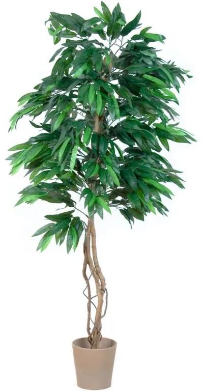 PLANTASIA 1429 Umelá rastlina strom - mango - 180 cm