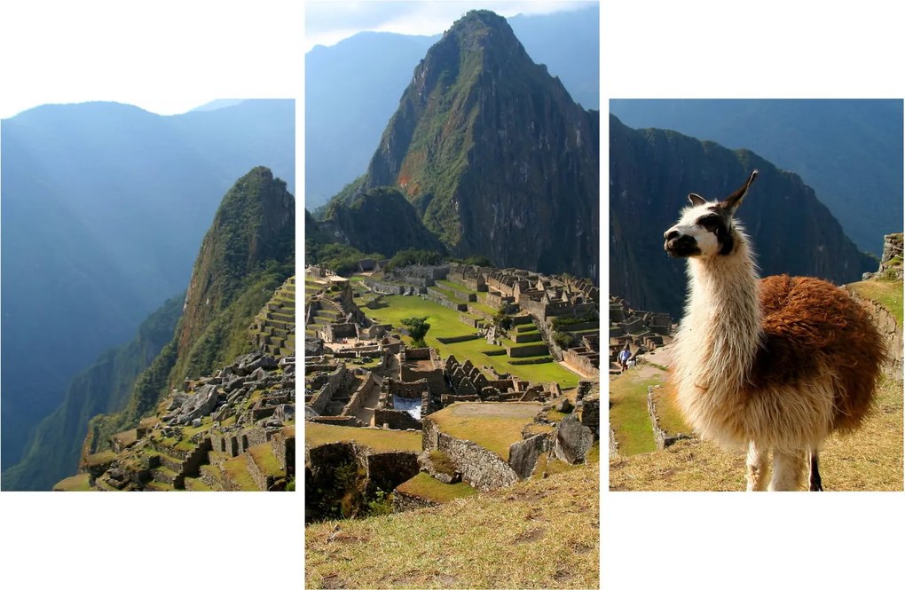 Obrázok - Lama a Machu Picchu (90x60 cm)