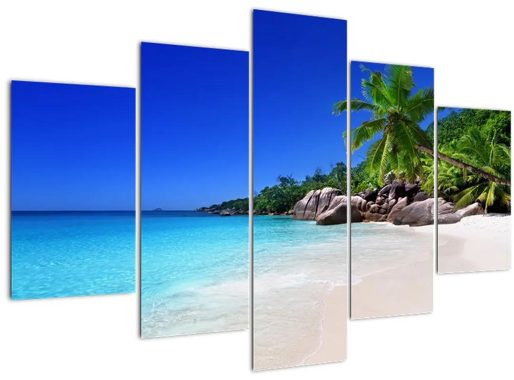 Obraz pláže na Praslin ostrove (150x105 cm)