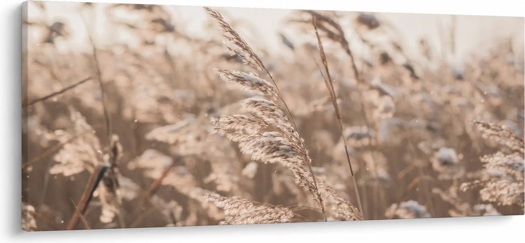 Obraz - Lúčny vánok (120x50 cm)
