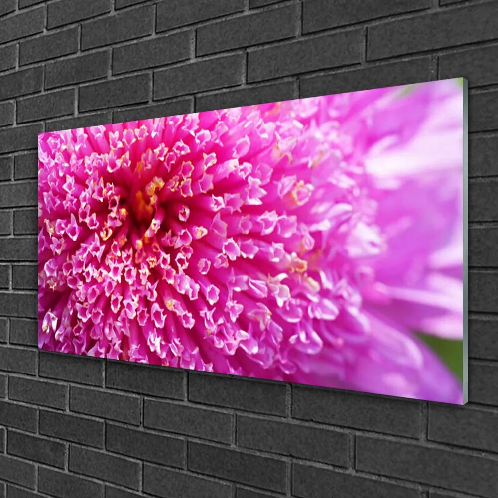 Obraz na skle Kvet 120x60 cm