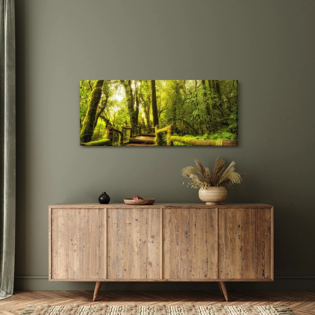 Obraz machové džungle (120x50 cm)