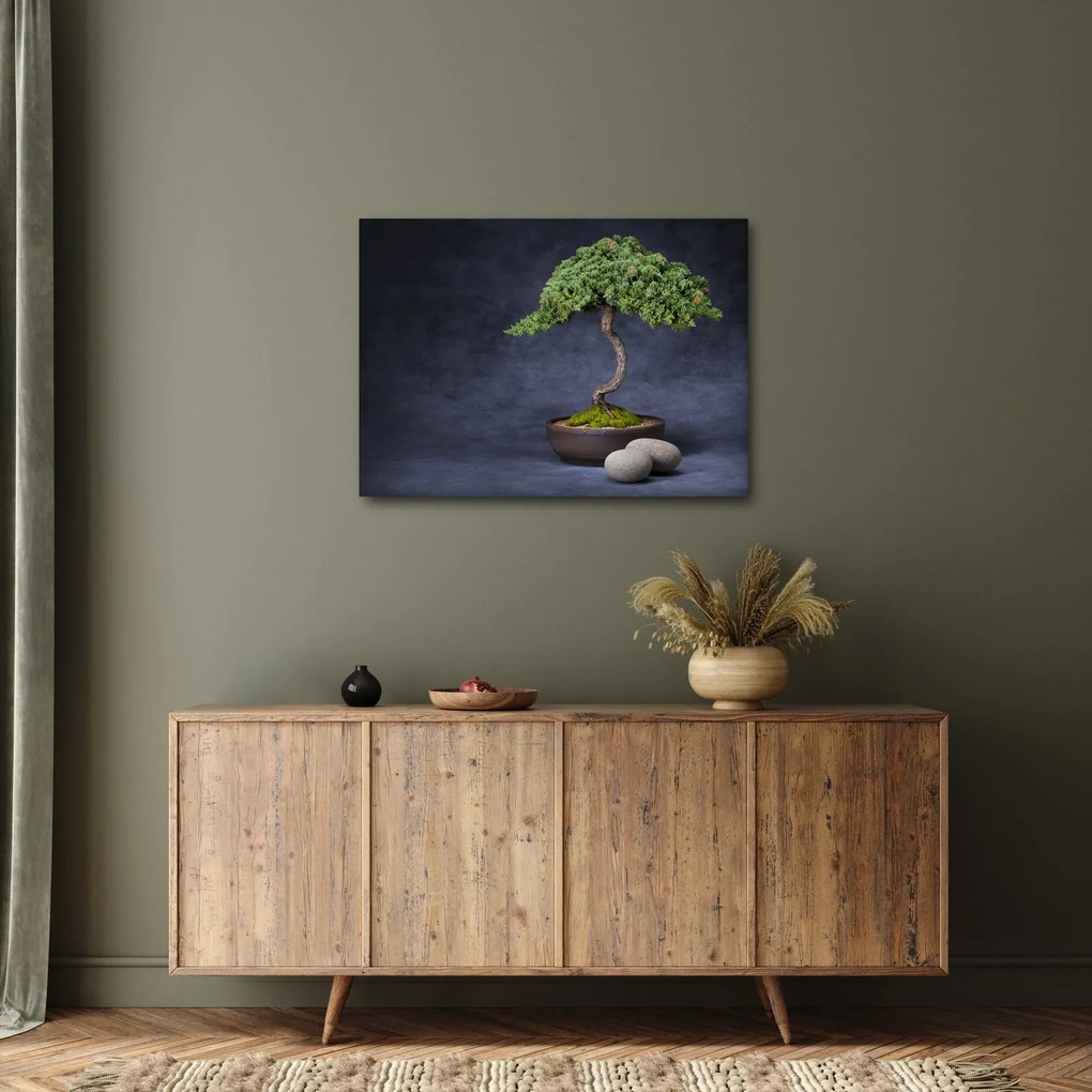 Obraz - Bonsai (70x50 cm)
