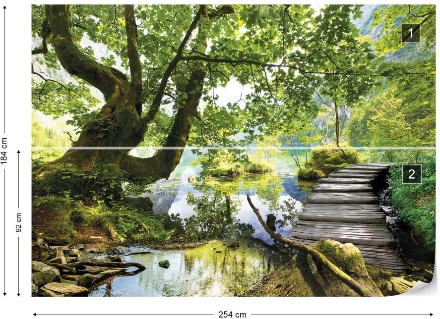 Fototapeta GLIX - Forest Lake Path + lepidlo ZADARMO Vliesová tapeta  - 254x184 cm