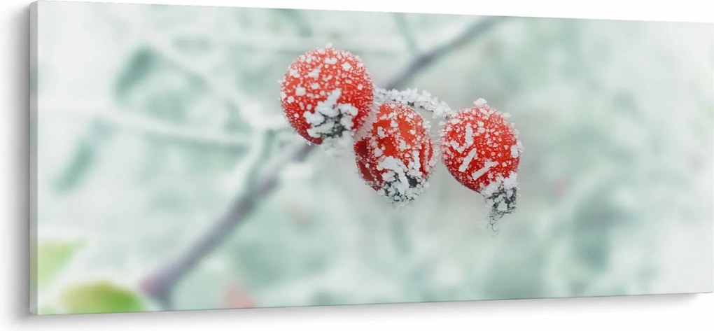 Obraz zmrznutých šípok (120x50 cm)