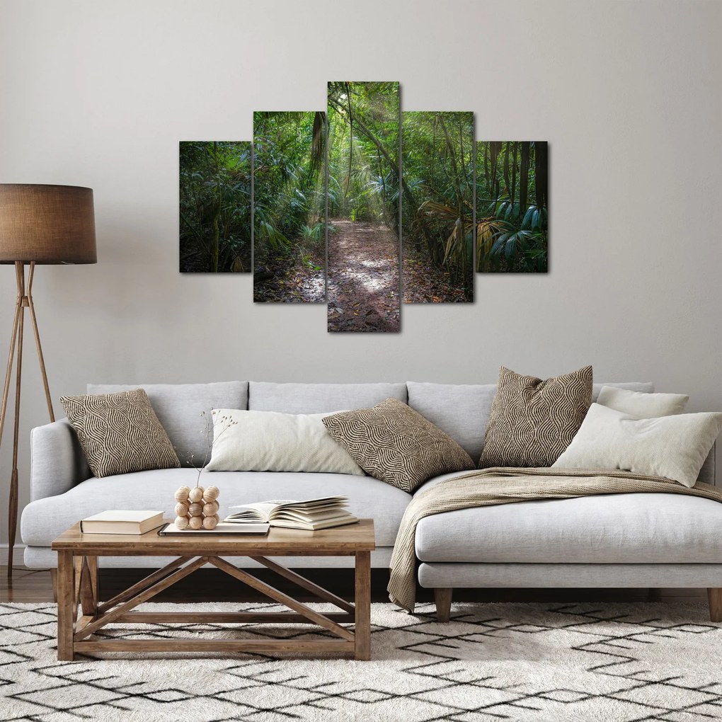 Obraz - Slnečné lúče v džungli (150x105 cm)