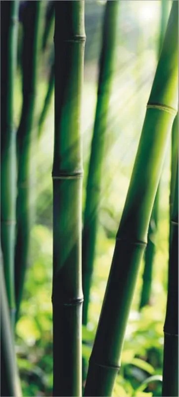 Fototapeta na dvere - Bamboo Vliesová tapeta