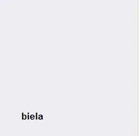 BRW Šatníková skriňa Idento SZF2D1S