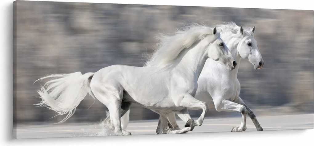 Obraz - Biele kone v zime (120x50 cm)