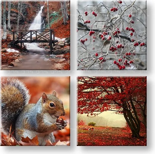 Obraz na stenu Beauty of Autumn