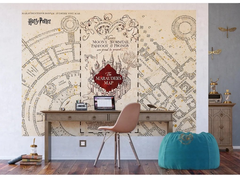 Detská fototapeta Harry Potter Marauders Map 252 x 182 cm, 4 diely