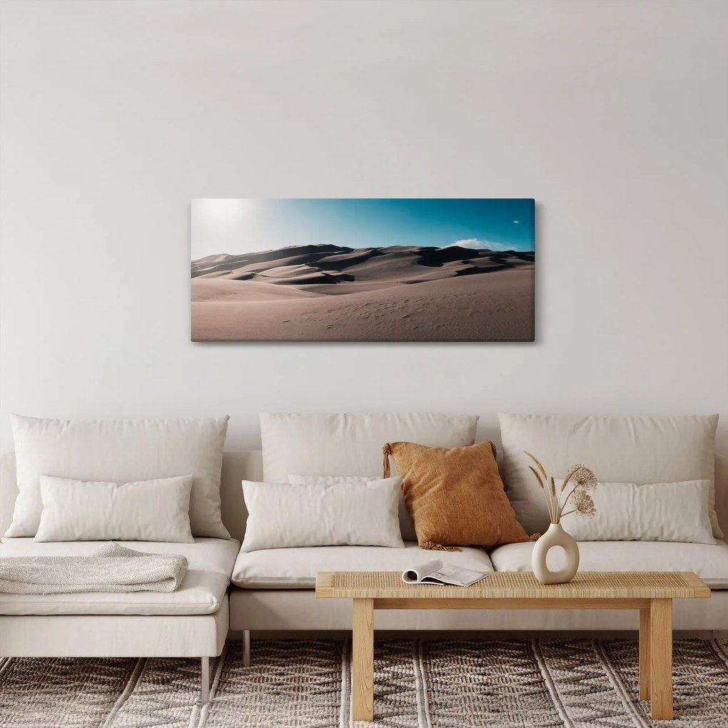 Obraz - Z púšte (120x50 cm)