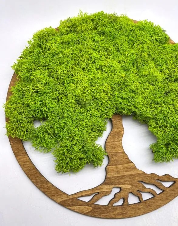 Strom na stenu z machu Elva 30 cm