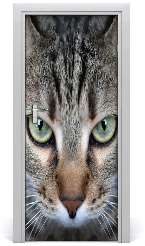 Samolepiace fototapety na dvere oči mačky 75x205 cm